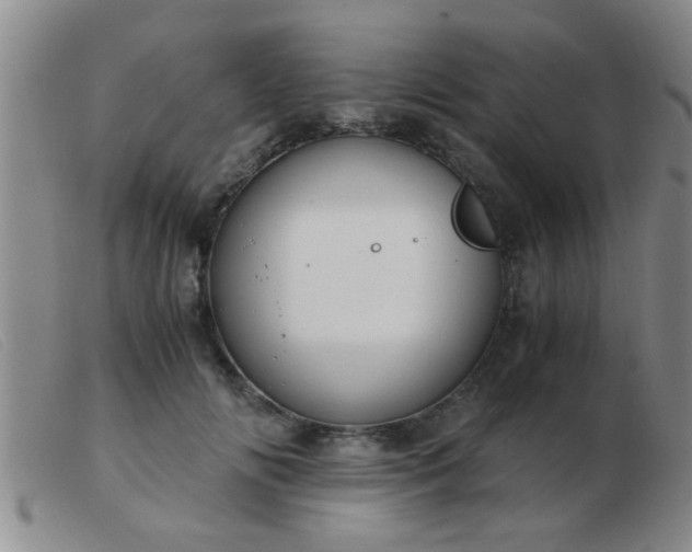 X0000103500702200809191946