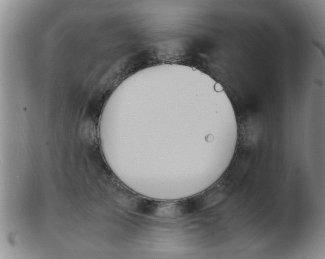 X0000103500705200809191945