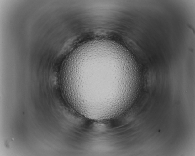 X0000103500706200809191945