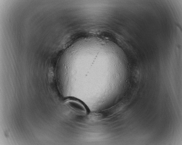 X0000103500707200809191945