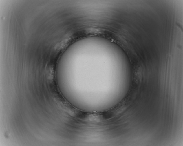 X0000103500708200809191945