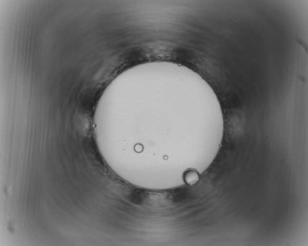 X0000103500709200809191945