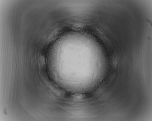 X0000103500711200809191945