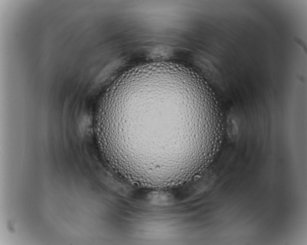 X0000103500714200809191945