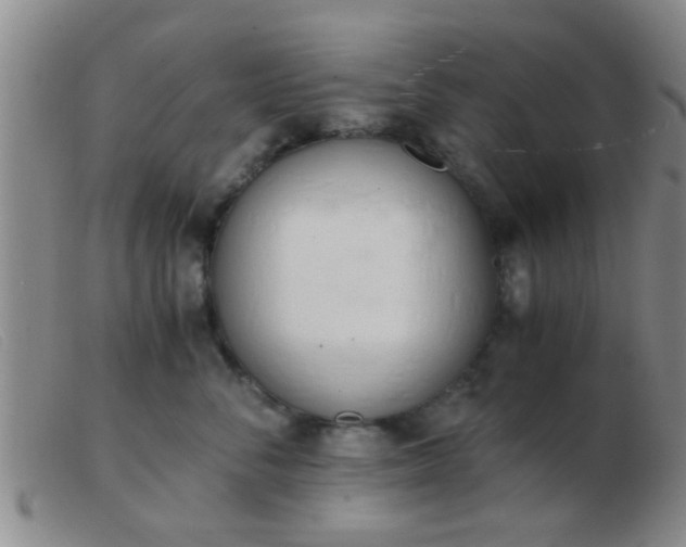 X0000103500716200809191945