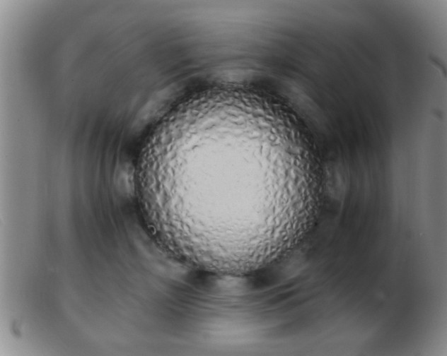 X0000103500718200809191945