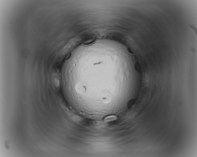 X0000103500719200809191945