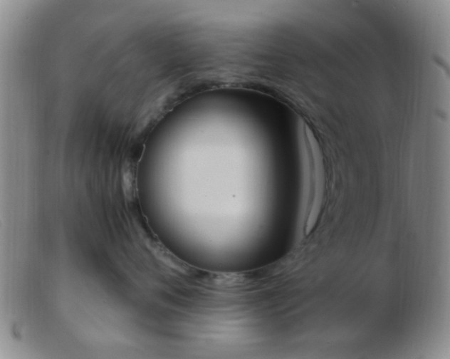 X0000103500720200809191945