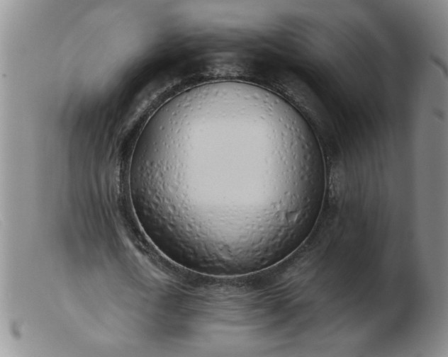 X0000103500722200809191944