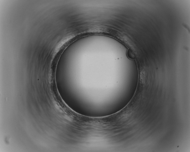 X0000103500724200809191944