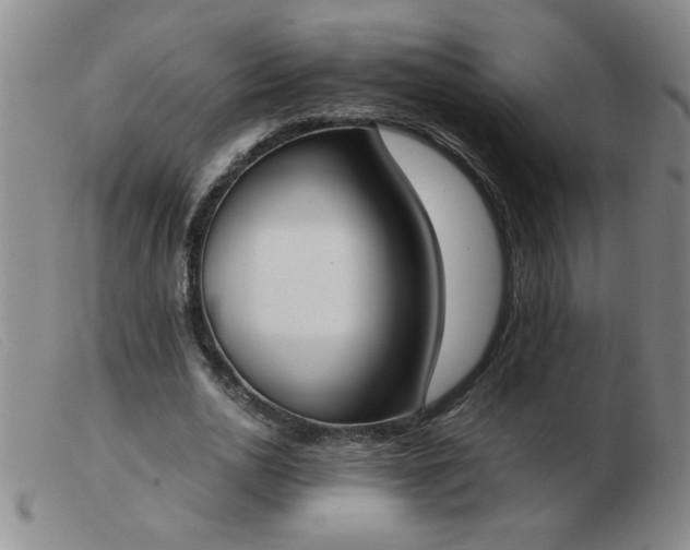 X0000103500726200809191944