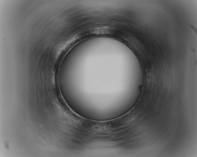 X0000103500727200809191945