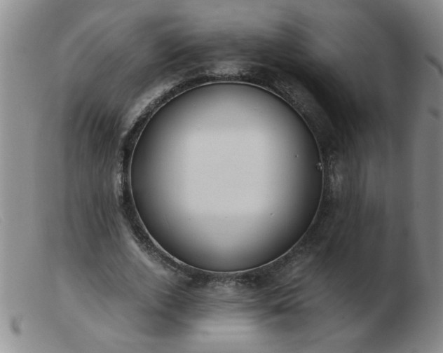 X0000103500728200809191945