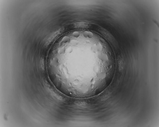 X0000103500729200809191945