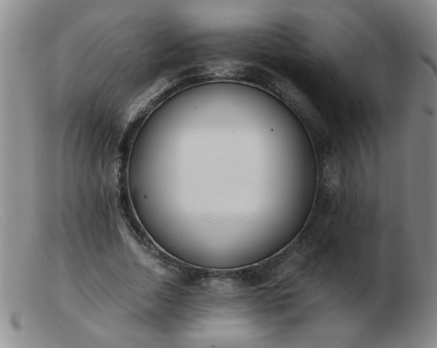 X0000103500730200809191945