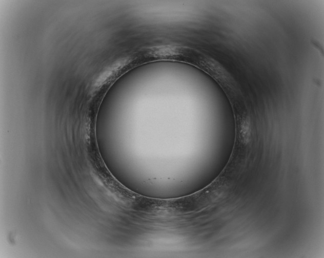 X0000103500732200809191945