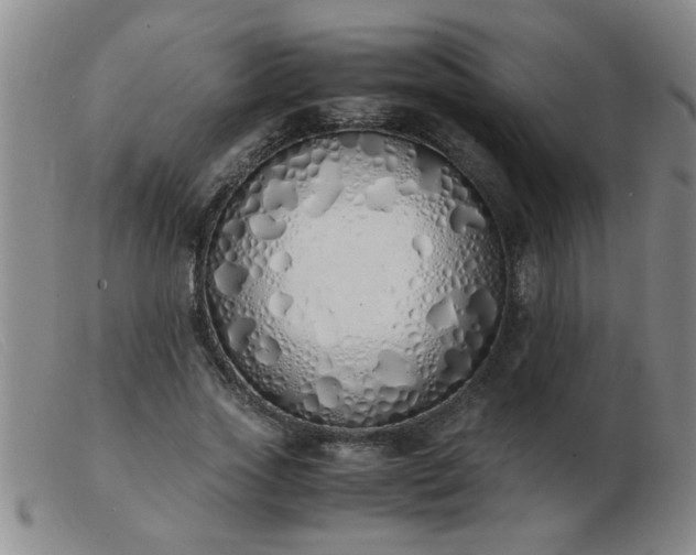 X0000103500733200809191945