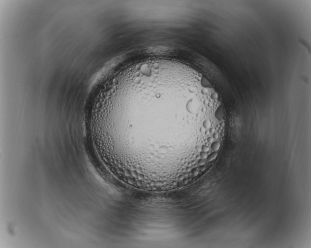 X0000103500734200809191945