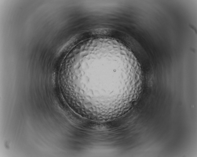 X0000103500735200809191945