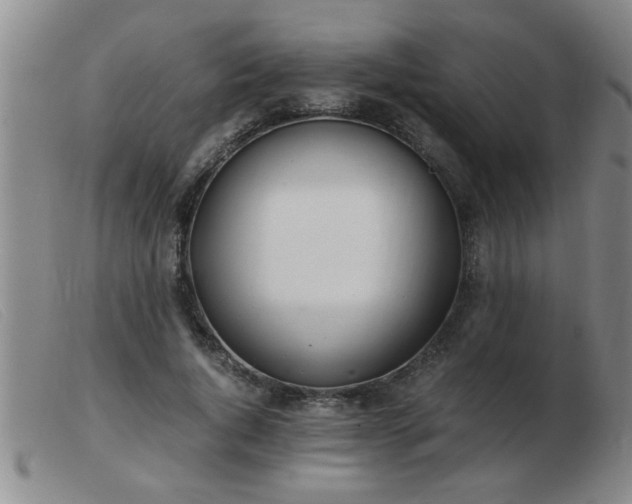 X0000103500736200809191945