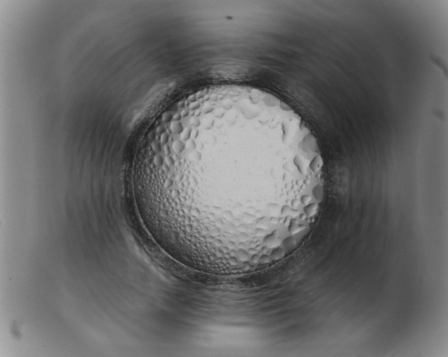 X0000103500738200809191945