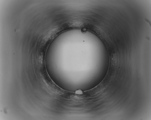 X0000103500739200809191945