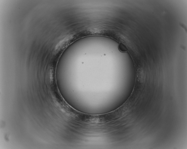 X0000103500740200809191945