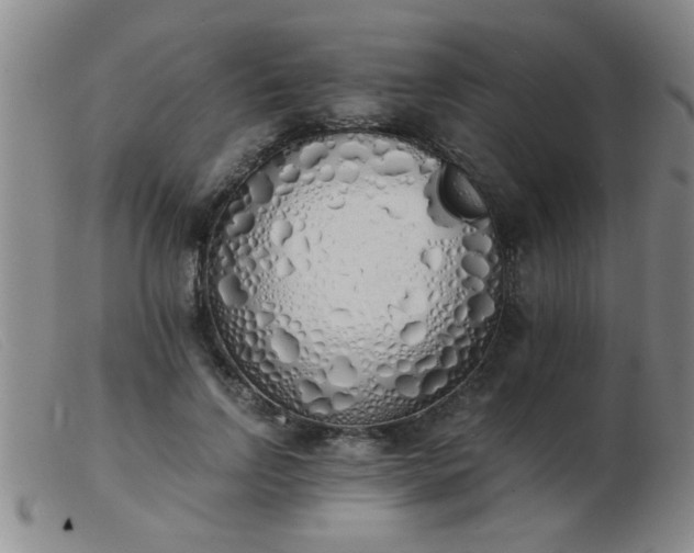 X0000103500742200809191945