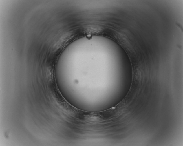 X0000103500743200809191945