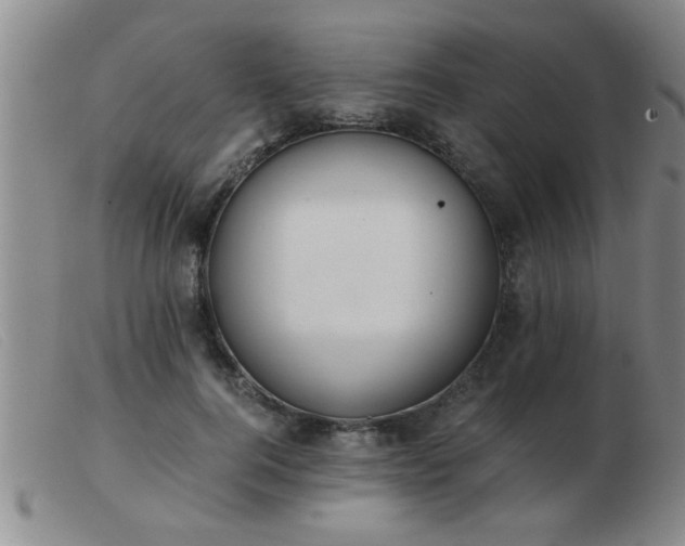 X0000103500744200809191945