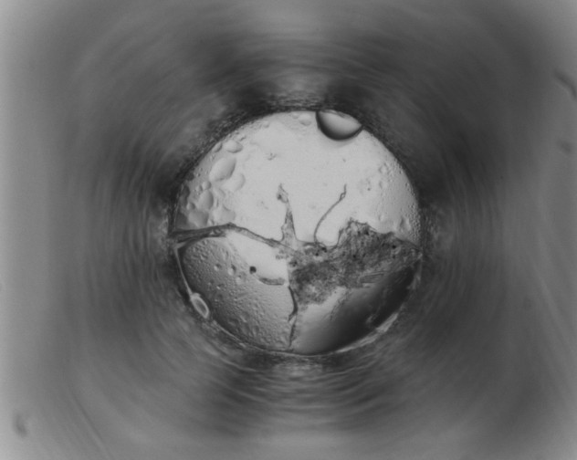 X0000103500745200809191945