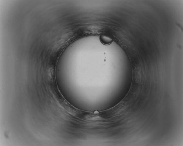 X0000103500747200809191945