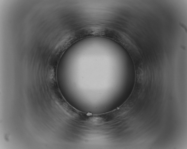 X0000103500748200809191945