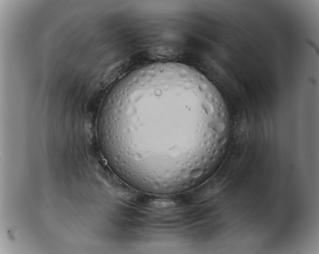 X0000103500749200809191945