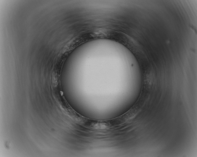 X0000103500751200809191945