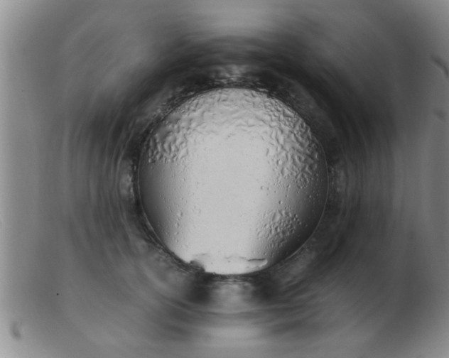 X0000103500754200809191945