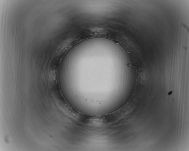 X0000103500756200809191945