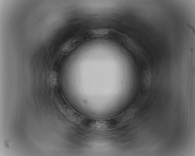 X0000103500758200809191945