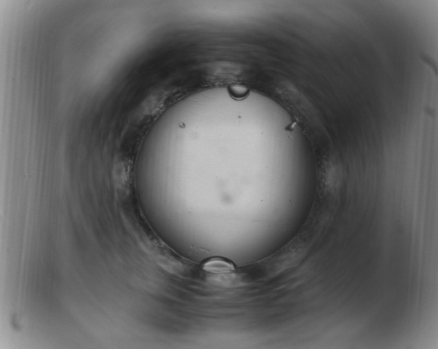 X0000103500759200809191945