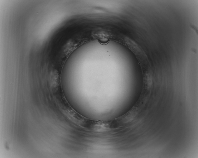 X0000103500760200809191945