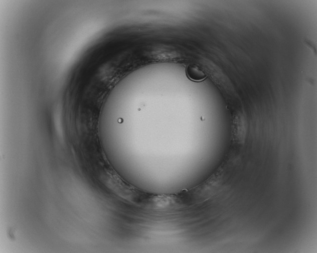 X0000103500762200809191945