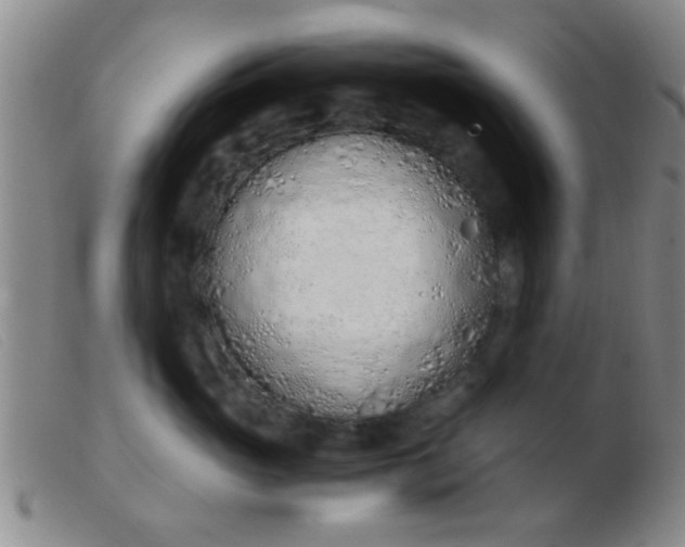 X0000103500765200809191945