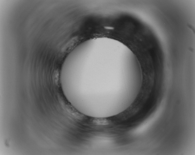 X0000103500767200809191945