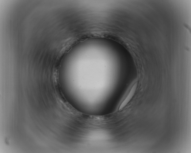 X0000103500768200809191945