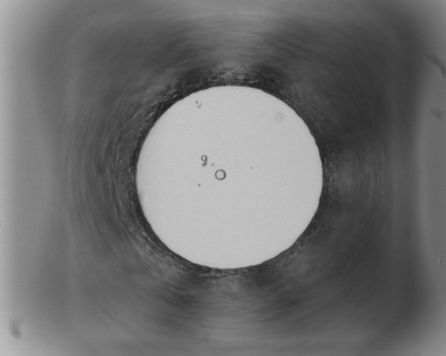 X0000103500769200809191944