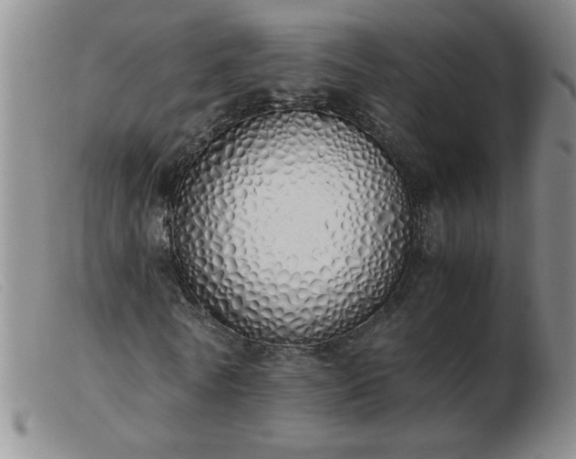 X0000103500770200809191944