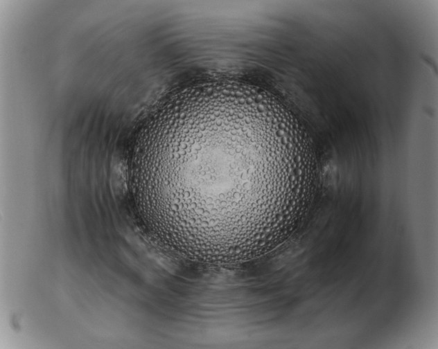 X0000103500772200809191944