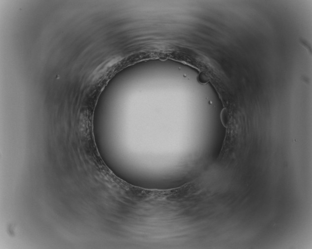 X0000103500773200809191944