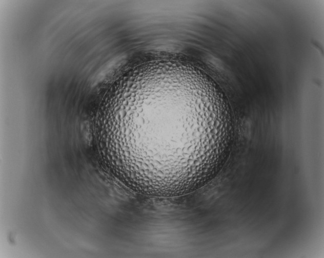 X0000103500774200809191944