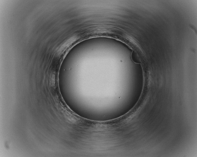 X0000103500777200809191944